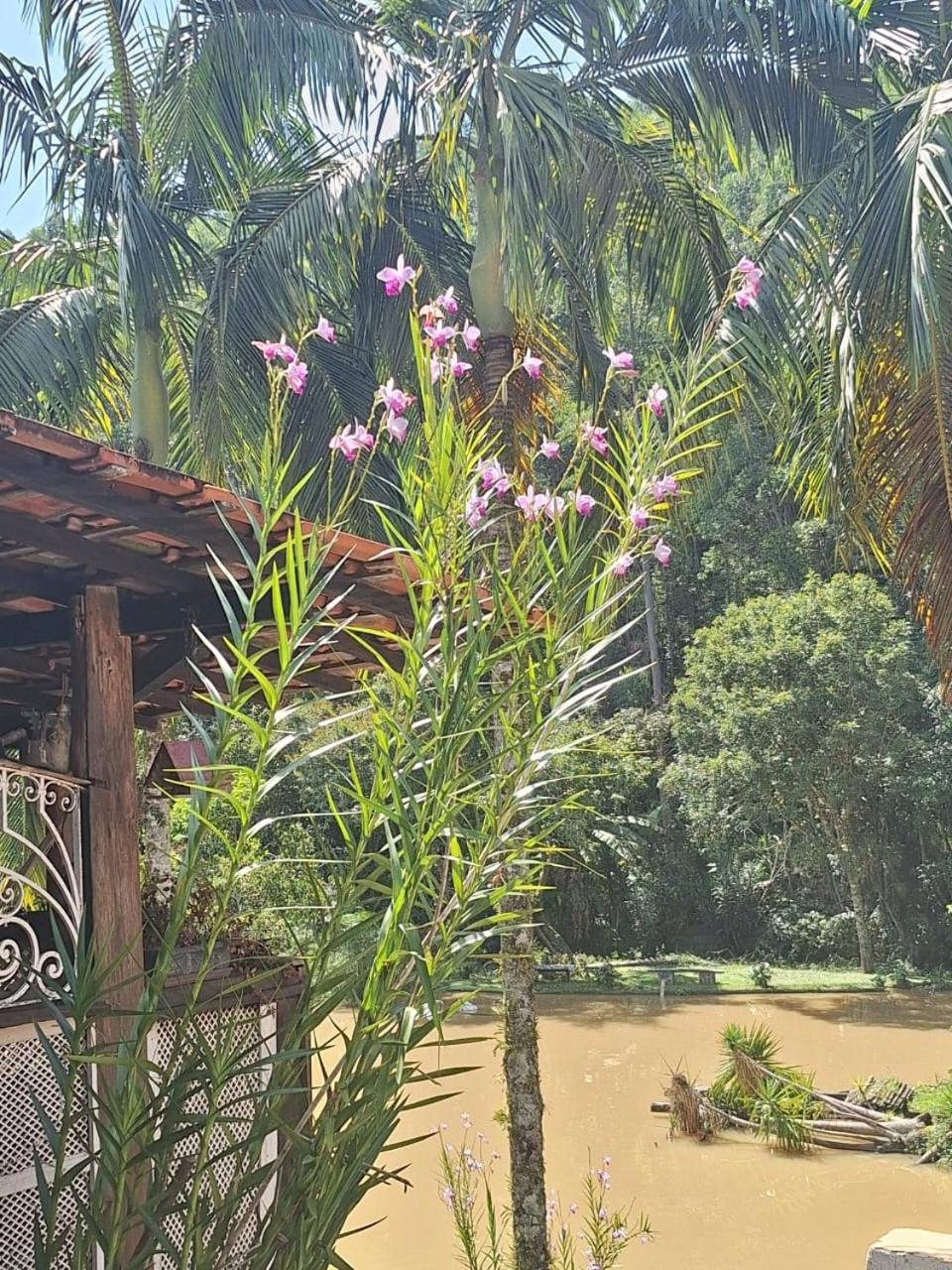 Chacara Ladeira De Pedra Villa Salesópolis Eksteriør bilde